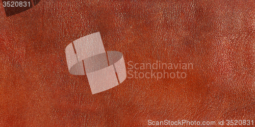 Image of Leather