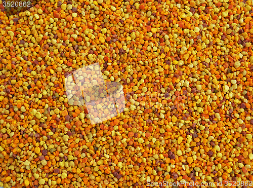 Image of Bee pollen