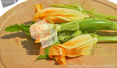 Image of Yellow courgette blossoms