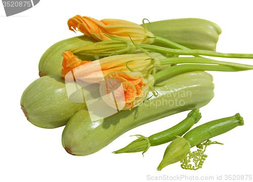 Image of Yellow courgette blossoms