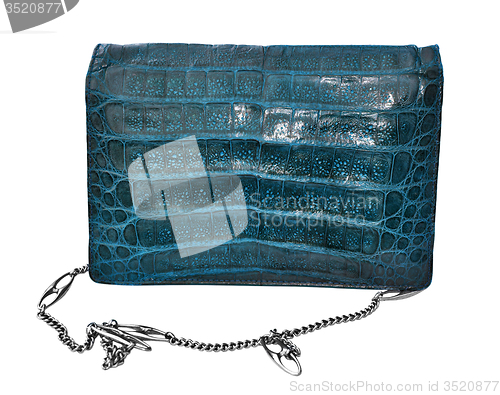 Image of Alligator leather bag