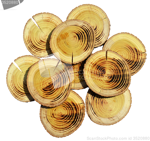 Image of Wood slices