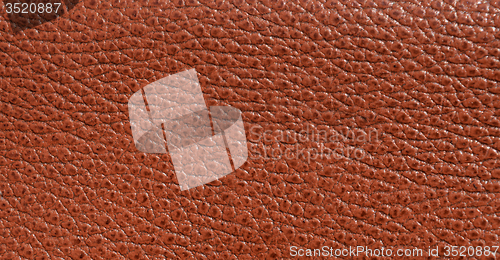 Image of Leather