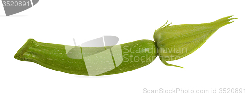 Image of Baby courgette