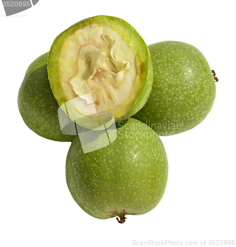 Image of Green young walnuts
