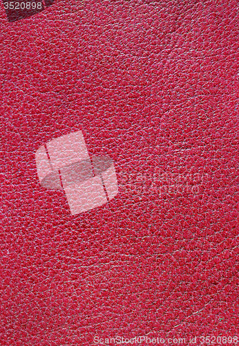 Image of Leather
