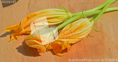 Image of Yellow courgette blossoms