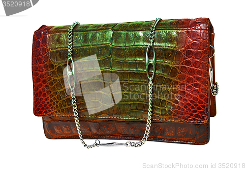 Image of Alligator leather bag