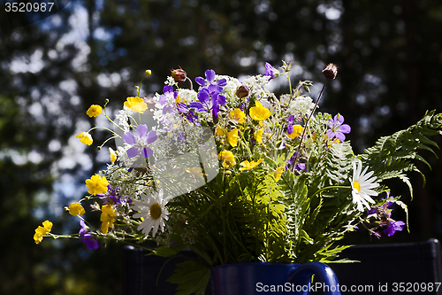 Image of midsummer flowers