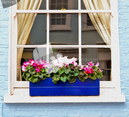 Image of notting   hill  area  in london england old suburban and flowers