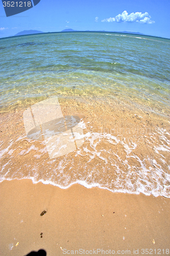 Image of paradise beach seaweed  indian ocean      foam