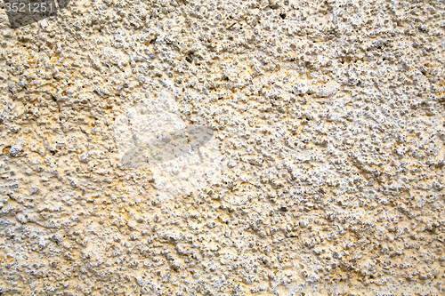 Image of yellow  in texture wall   africa 