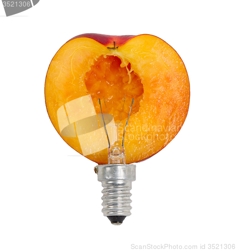 Image of Nectarine lightbulb, concept of green energy