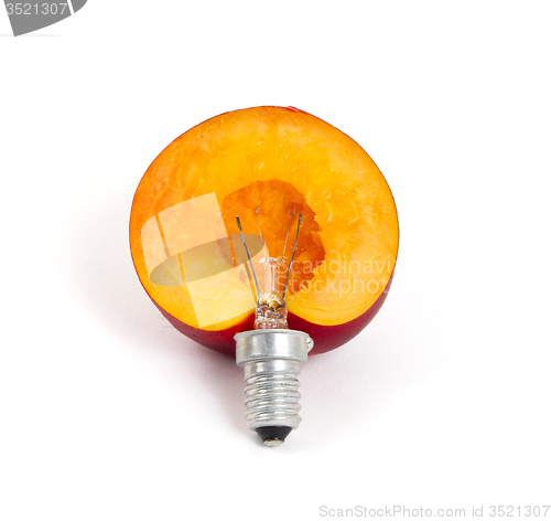 Image of Nectarine lightbulb, concept of green energy