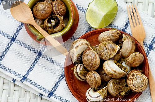 Image of Snails with Garlic Butter