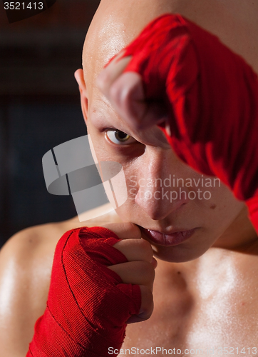 Image of Portrait of a boxer with red bandages