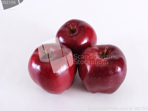 Image of Apple Trio on White