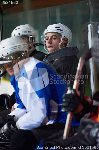 Image of ice hockey players on bench