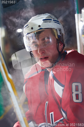 Image of ice hockey players on bench