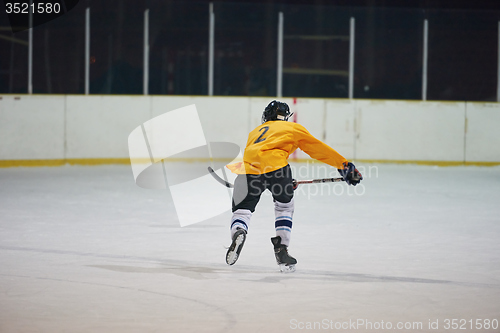 Image of ice hockey player in action