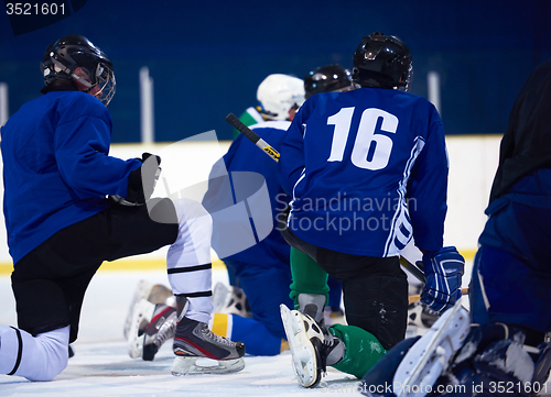 Image of ice hockey player in action