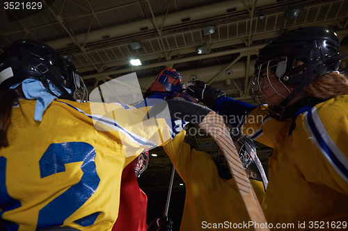 Image of teen girls ice hockey sport players