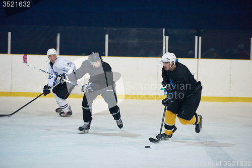 Image of ice hockey sport players