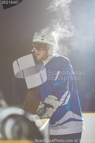 Image of ice hockey players on bench