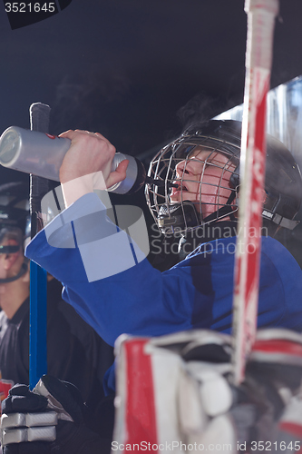 Image of ice hockey players on bench