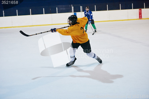 Image of ice hockey sport players