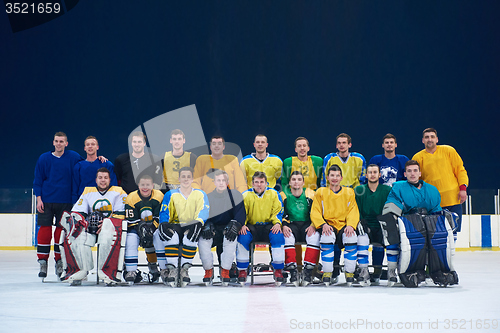 Image of ice hockey players team portrait