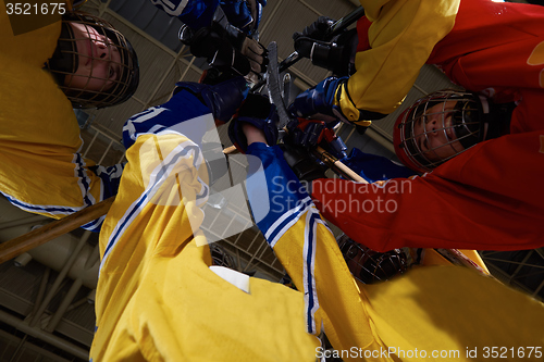 Image of teen girls ice hockey sport players