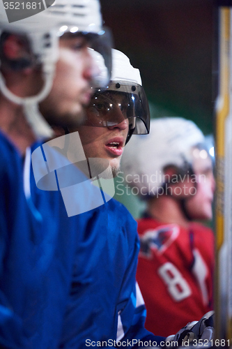 Image of ice hockey players on bench