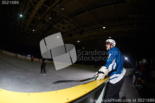 Image of ice hockey players on bench