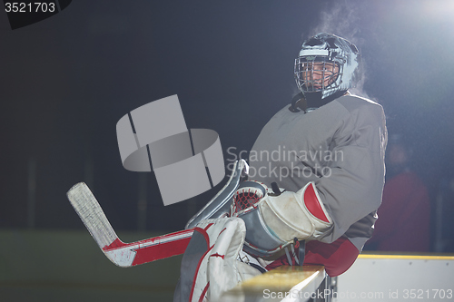 Image of ice hockey players on bench