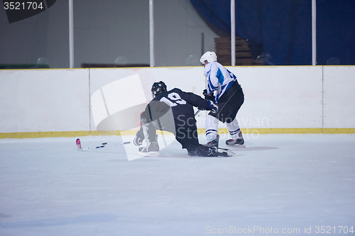 Image of ice hockey sport players