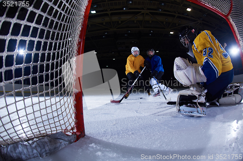 Image of ice hockey goalkeeper