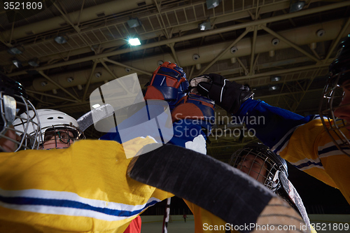 Image of teen girls ice hockey sport players