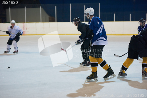 Image of ice hockey sport players