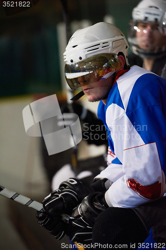 Image of ice hockey players on bench