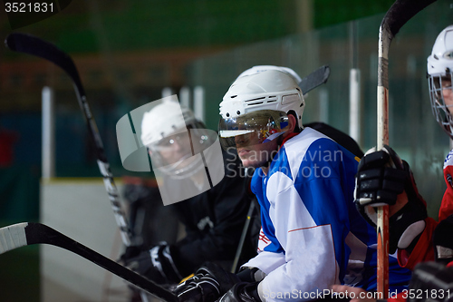 Image of ice hockey players on bench