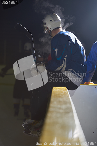 Image of ice hockey players on bench