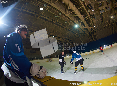 Image of ice hockey players on bench