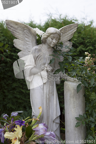 Image of Stone angel