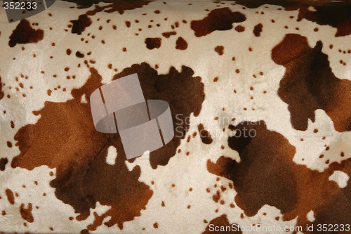 Image of Cow pattern