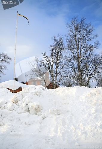 Image of Snowbank