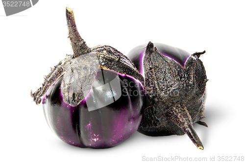 Image of Two round eggplants mature lying near