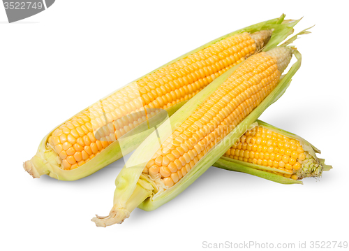 Image of Three partially peeled corn cob lying cross