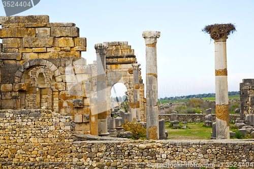 Image of volubilis in morocco africa the stork nest