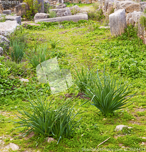 Image of volubilis in morocco africa the old roman deteriorated monument 